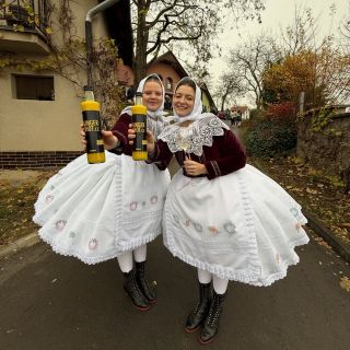 Milujeme folklor 🤩❤️ @gingershot.cz v největší vinařské oblasti Velkých Bílovic 🍇 S Ginger Shotem každé ráno, máš o zdraví...